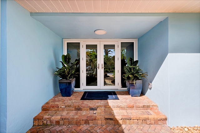 Angel's Nest - image -