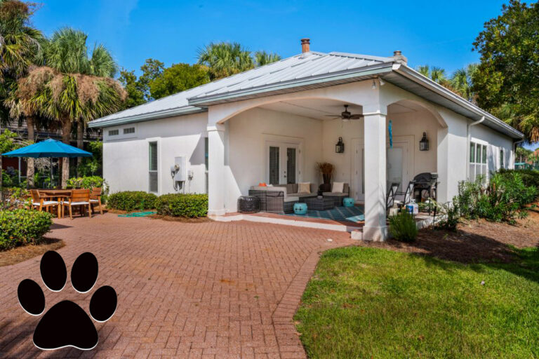 Bonaire Reef - image - Bonaire Reef -