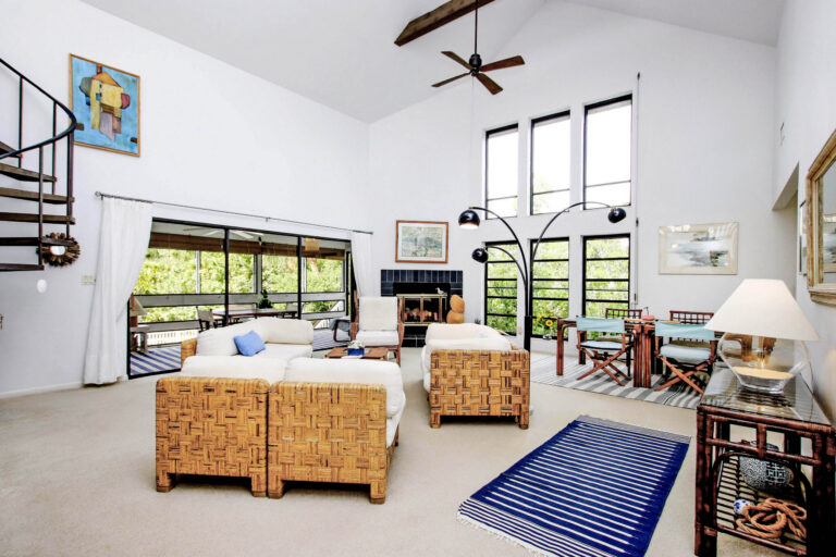 A Morning Glory - image -