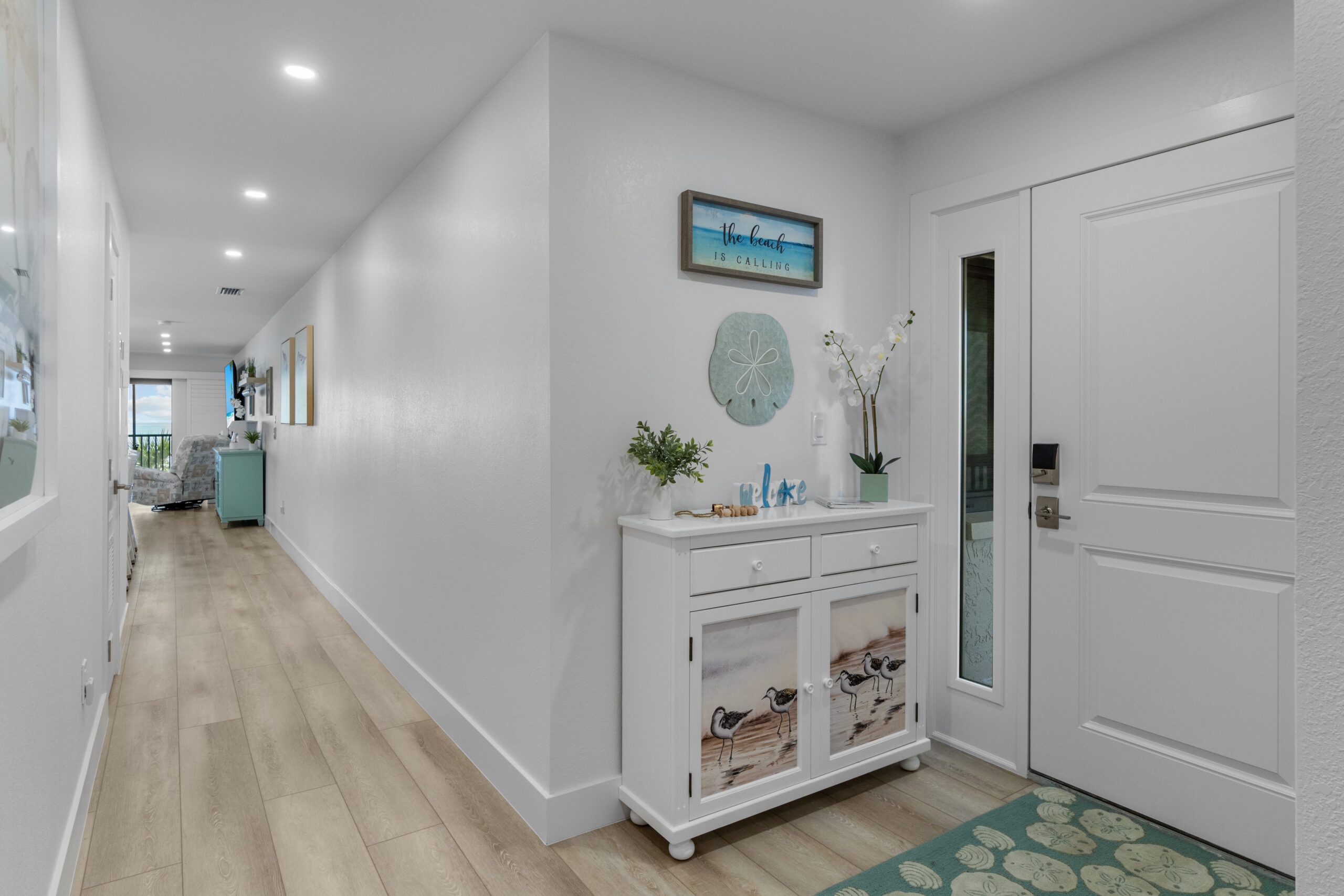 Sanddollar A301 - image -